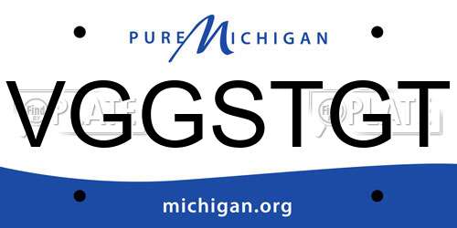 VGGSTGT Michigan License Plate