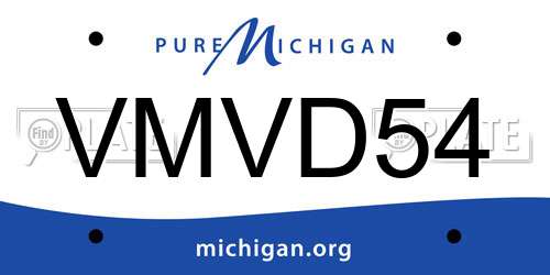 VMVD54 Michigan License Plate