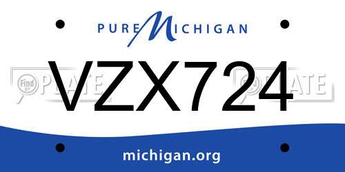 VZX724 Michigan License Plate