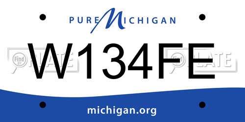 W134FE Michigan License Plate