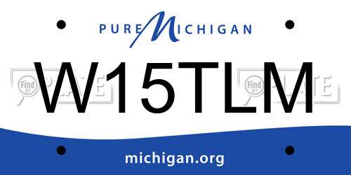 W15TLM Michigan License Plate
