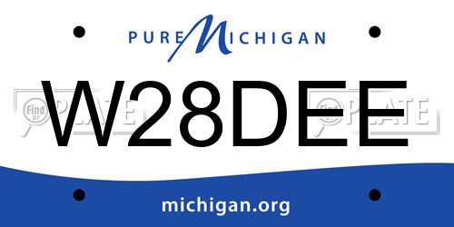W28DEE Michigan License Plate