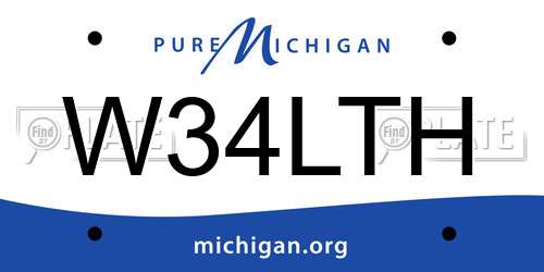 W34LTH Michigan License Plate