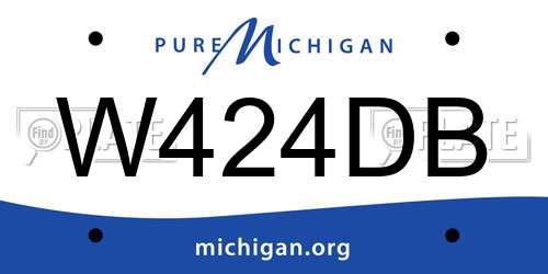 W424DB Michigan License Plate