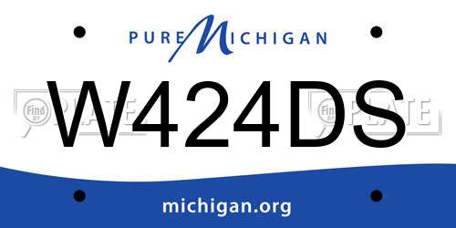 W424DS Michigan License Plate