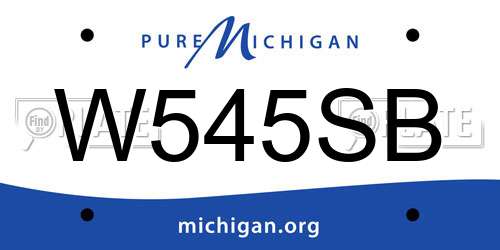 W545SB Michigan License Plate