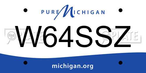 W64SSZ Michigan License Plate