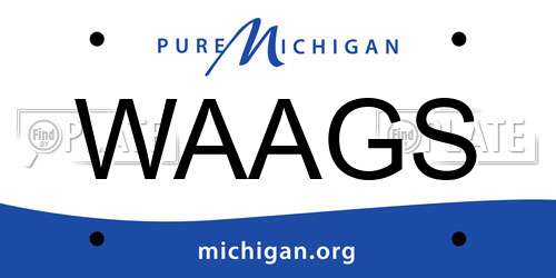 WAAGS Michigan License Plate