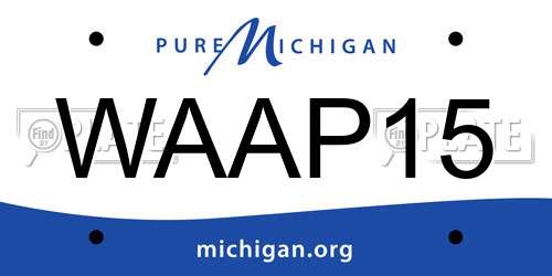 WAAP15 Michigan License Plate