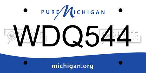 WDQ544 Michigan License Plate