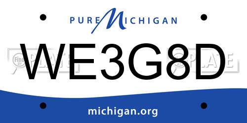 WE3G8D Michigan License Plate