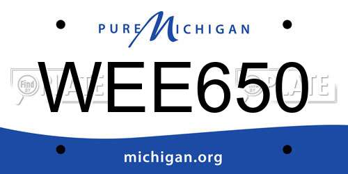 WEE650 Michigan License Plate