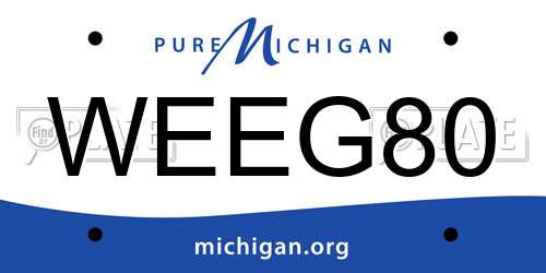 WEEG80 Michigan License Plate