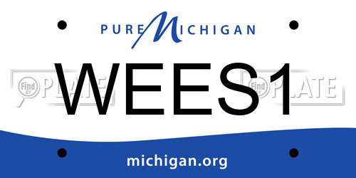 WEES1 Michigan License Plate