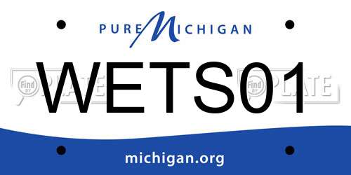WETS01 Michigan License Plate