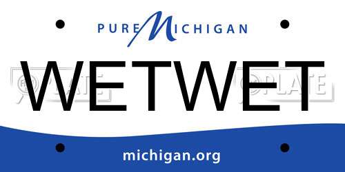 WETWET Michigan License Plate