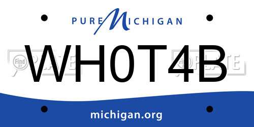 WH0T4B Michigan License Plate
