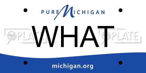 WHAT Michigan License Plate