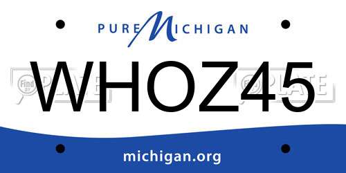 WHOZ45 Michigan License Plate