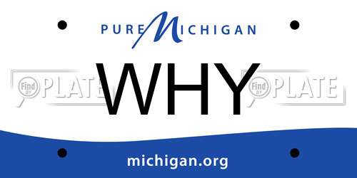 WHY Michigan License Plate