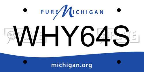 WHY64S Michigan License Plate
