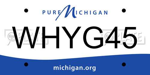 WHYG45 Michigan License Plate