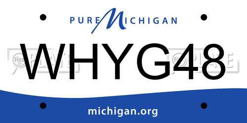 WHYG48 Michigan License Plate