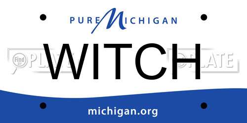 WITCH Michigan License Plate