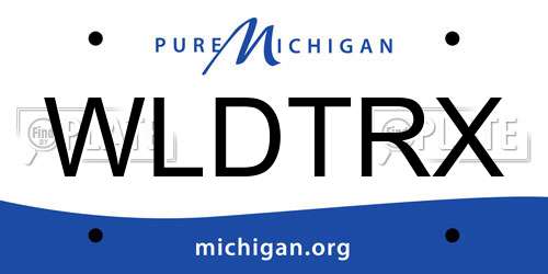 WLDTRX Michigan License Plate
