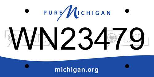 WN23479 Michigan License Plate