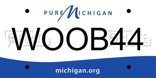 WOOB44 Michigan License Plate
