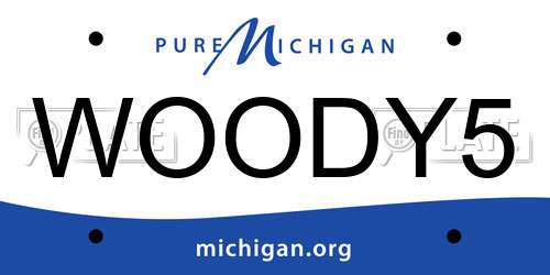 WOODY5 Michigan License Plate