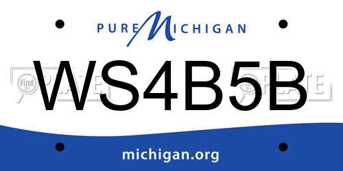 WS4B5B Michigan License Plate