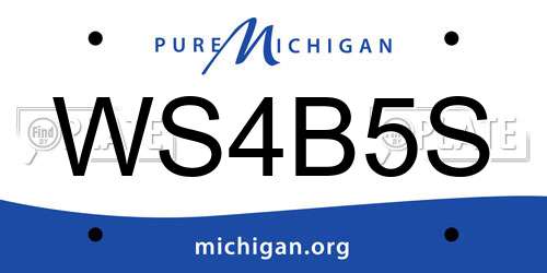 WS4B5S Michigan License Plate