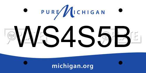 WS4S5B Michigan License Plate