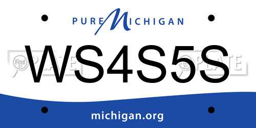 WS4S5S Michigan License Plate