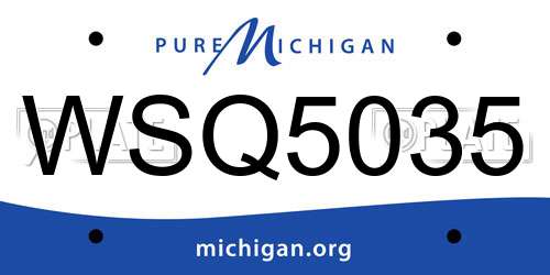 WSQ5035 Michigan License Plate