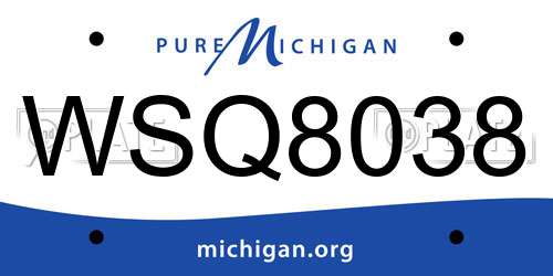 WSQ8038 Michigan License Plate