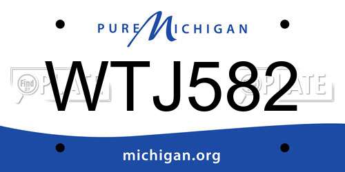 WTJ582 Michigan License Plate