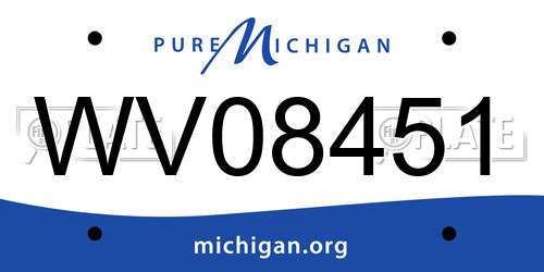 WV08451 Michigan License Plate
