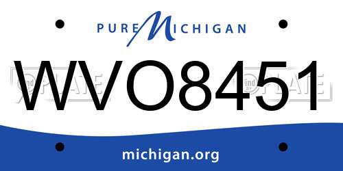 WVO8451 Michigan License Plate