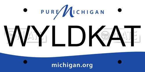 WYLDKAT Michigan License Plate