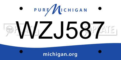 WZJ587 Michigan License Plate