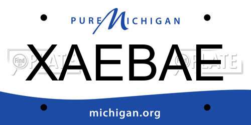 XAEBAE Michigan License Plate