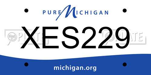 XES229 Michigan License Plate