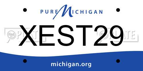 XEST29 Michigan License Plate