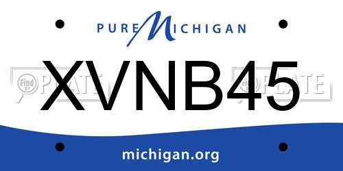 XVNB45 Michigan License Plate