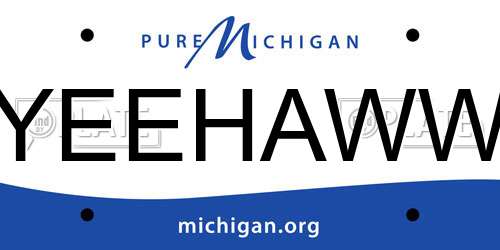 YEEHAWW Michigan License Plate