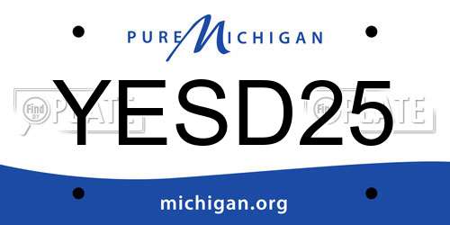 YESD25 Michigan License Plate