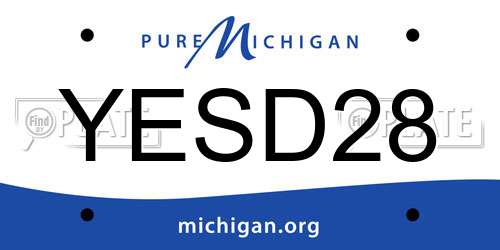 YESD28 Michigan License Plate